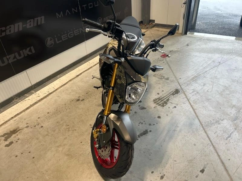 2025 Kawasaki Br125jsfan alt