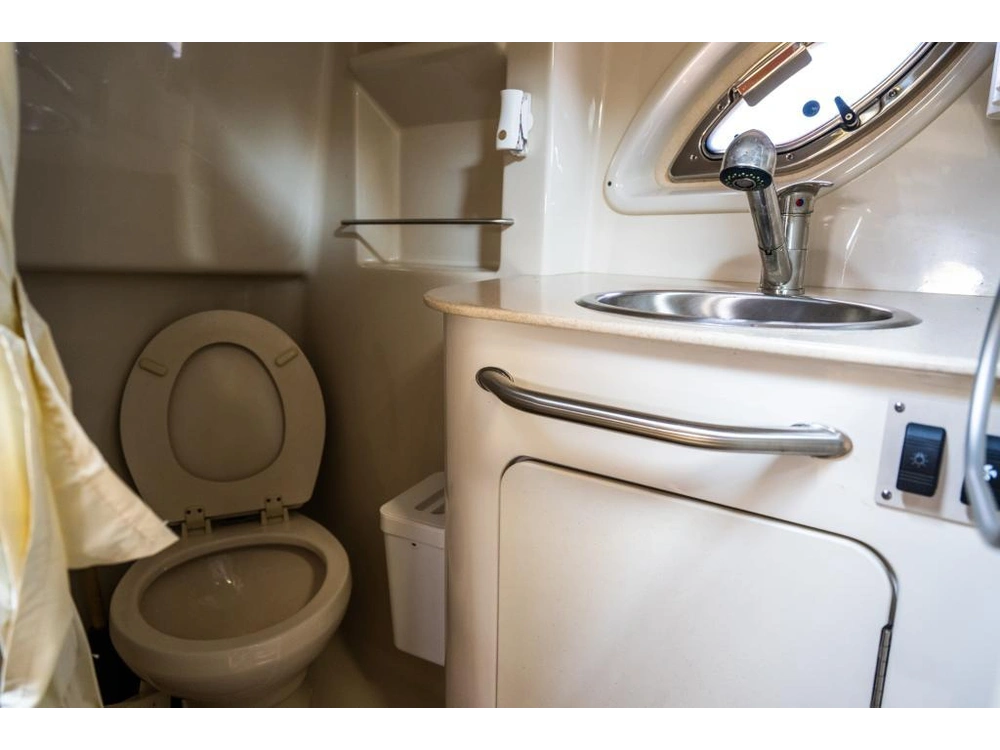 Sea Ray 310 Sundancer 2008 alt