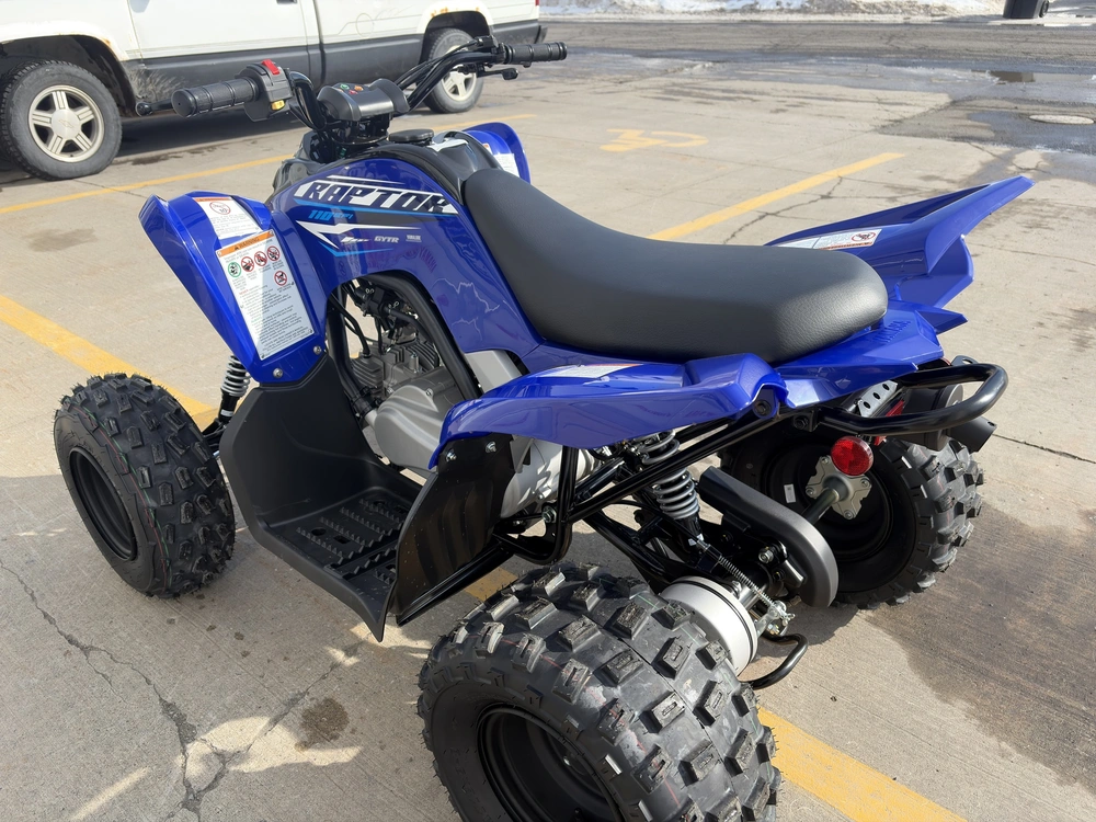 2026 Yamaha Raptor 110 alt