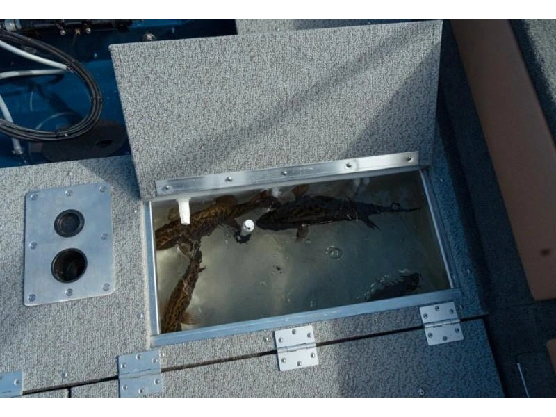 Legend 18 Xt White Blue 2026 alt