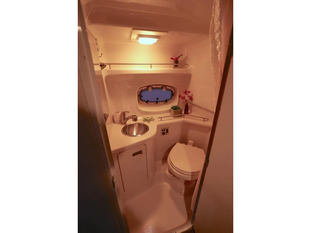 Sea Ray 280 Sundancer Bow Thruster 2012 alt