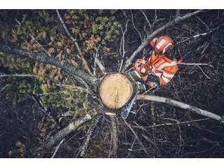 2026 Husqvarna 562 Xp Mii 18" 58ga 3/8 alt