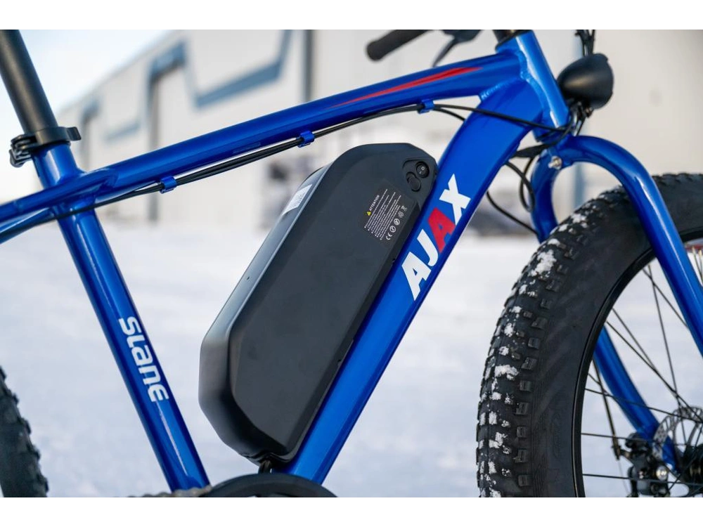 2024 Slane Ajax Fat Tire alt