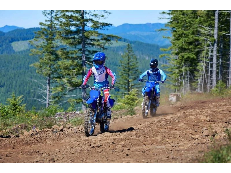 2026 Yamaha Tt-r125 alt