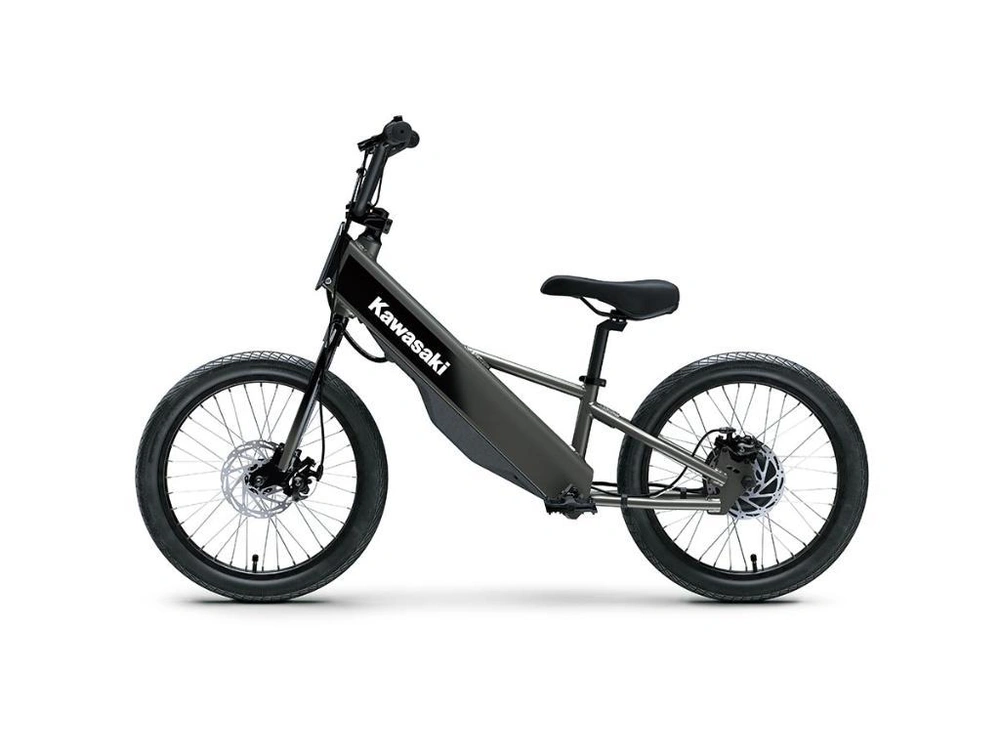 Kawasaki Elektrode 20fs 2025 alt