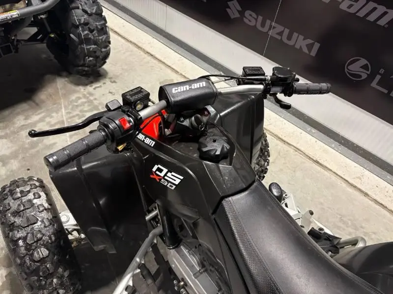 Can-am Ds X 90 2017 alt