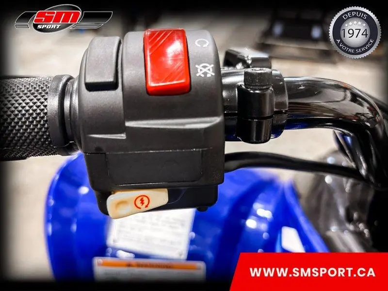 Yamaha Raptor 110 2026