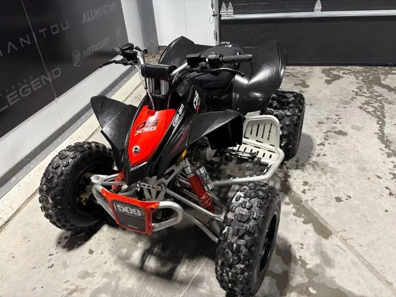 Can-am Ds X 90 2017 alt