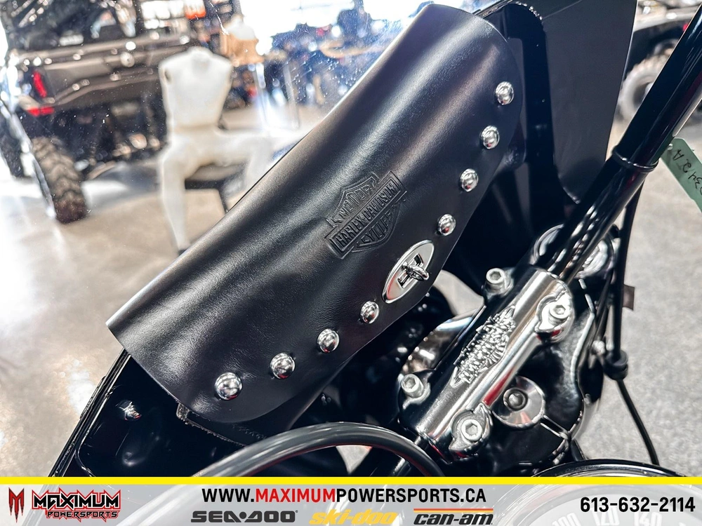 Harley-davidson Fxsti-softail Stand. (f.i.) 2022 alt