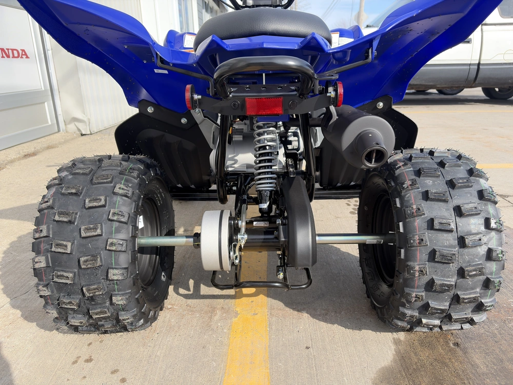 2026 Yamaha Raptor 110 alt