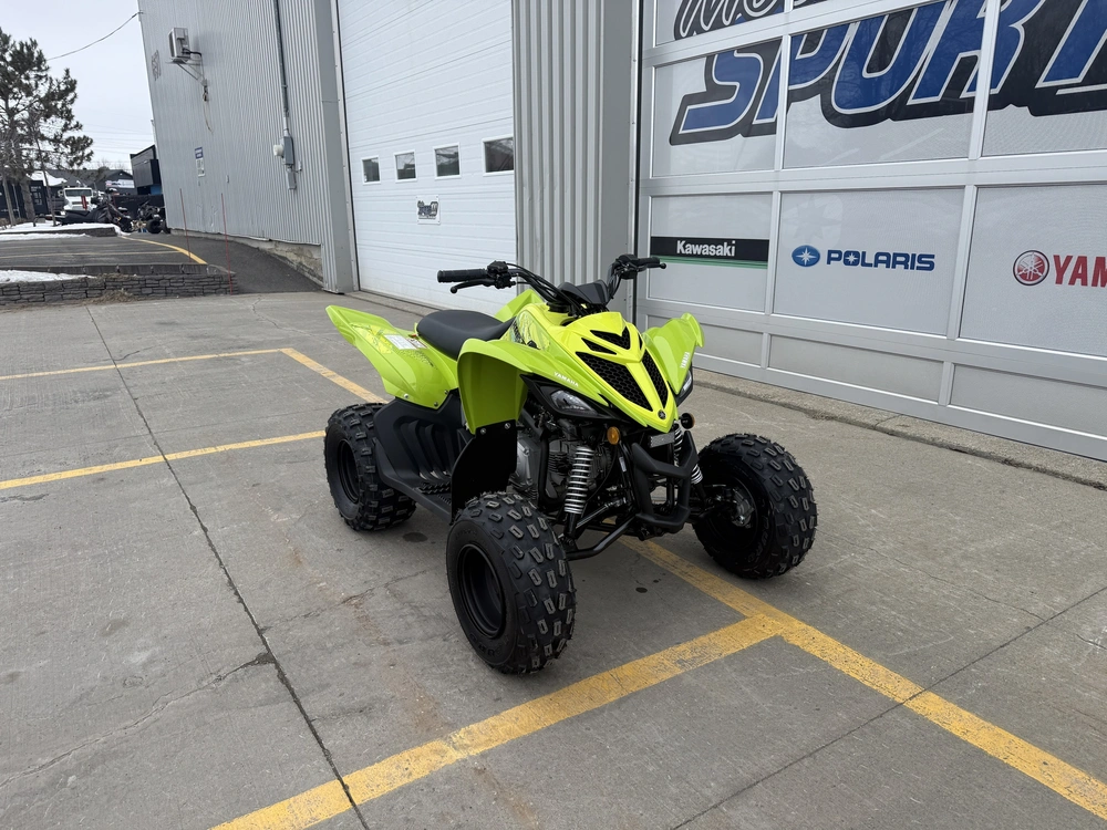 Yamaha Raptor 110 2026 alt