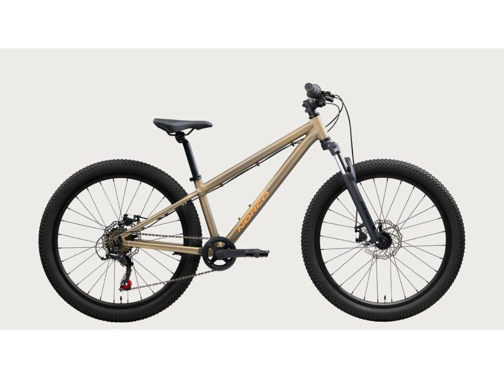 2025 Norco Storm 24 alt