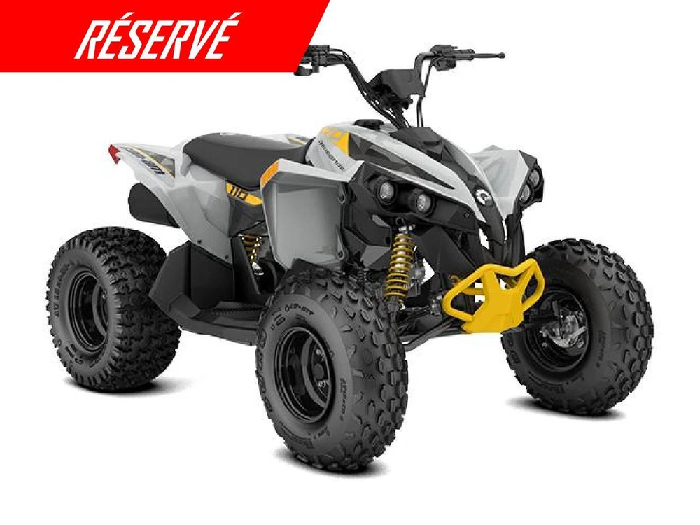 Can-am Renegade 110 Efi 2026 alt