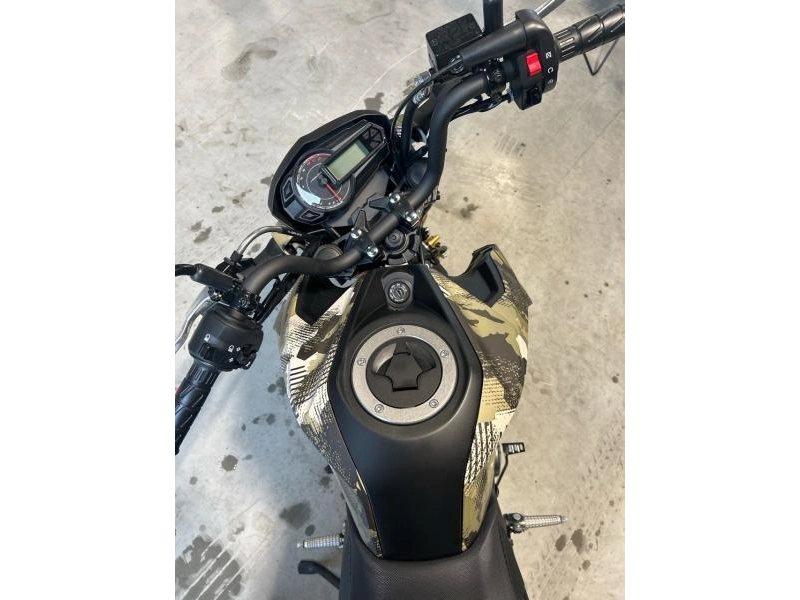2025 Kawasaki Br125jsfan alt