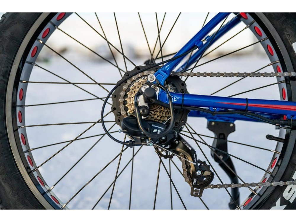 2024 Slane Ajax Fat Tire alt