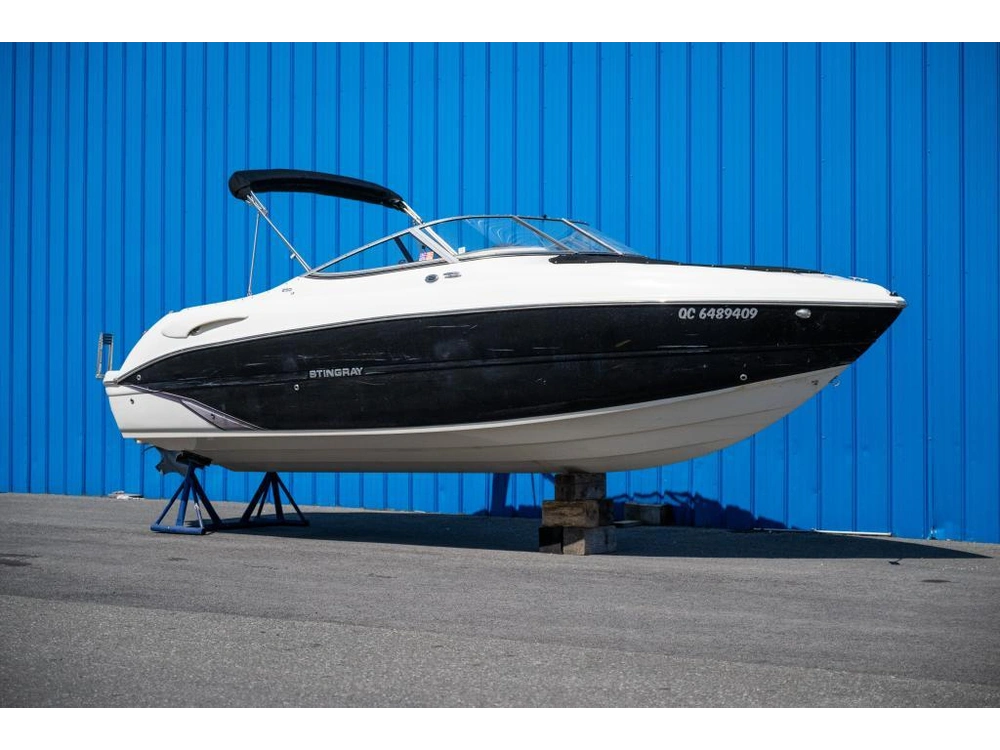 Stingray 250 Lr 2018 alt