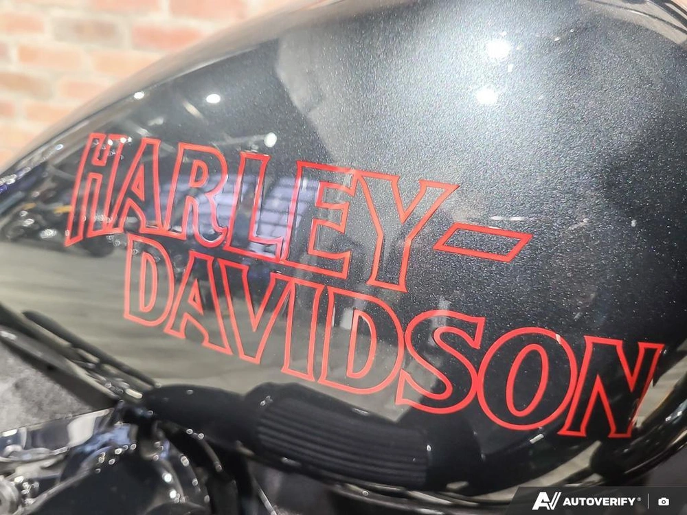 2025 Harley-davidson Fxlrs - Low Rider® S alt