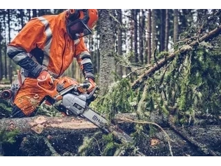 2026 Husqvarna 562 Xp Mii 18" 58ga 3/8 alt