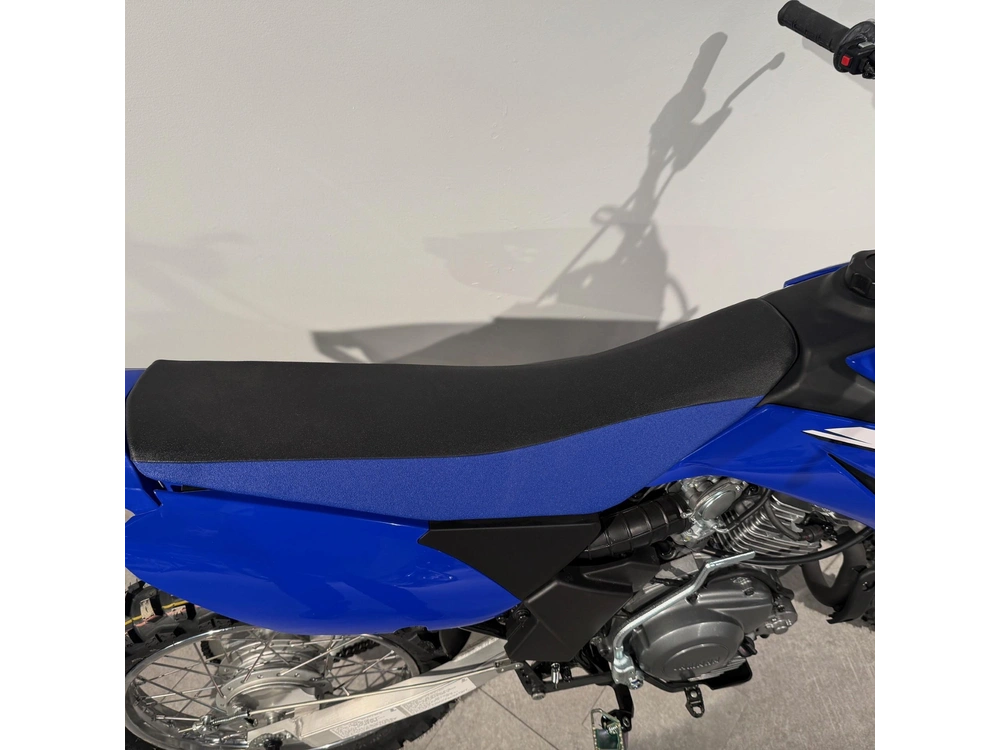 2025 Yamaha Tt-r125 Le alt