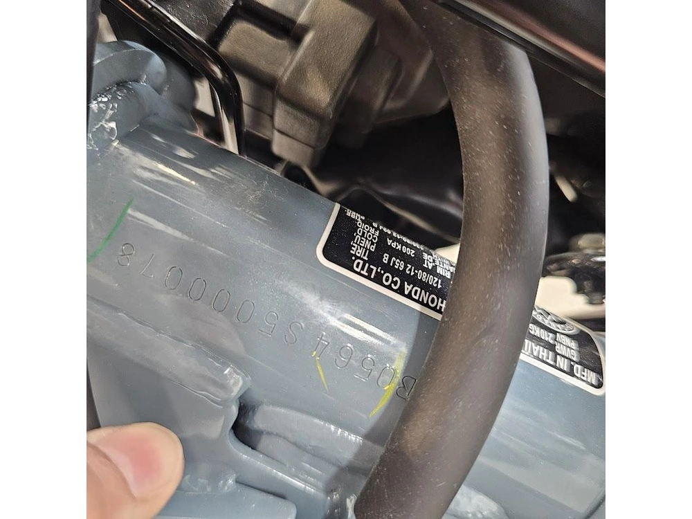 2025 Honda Monkey alt