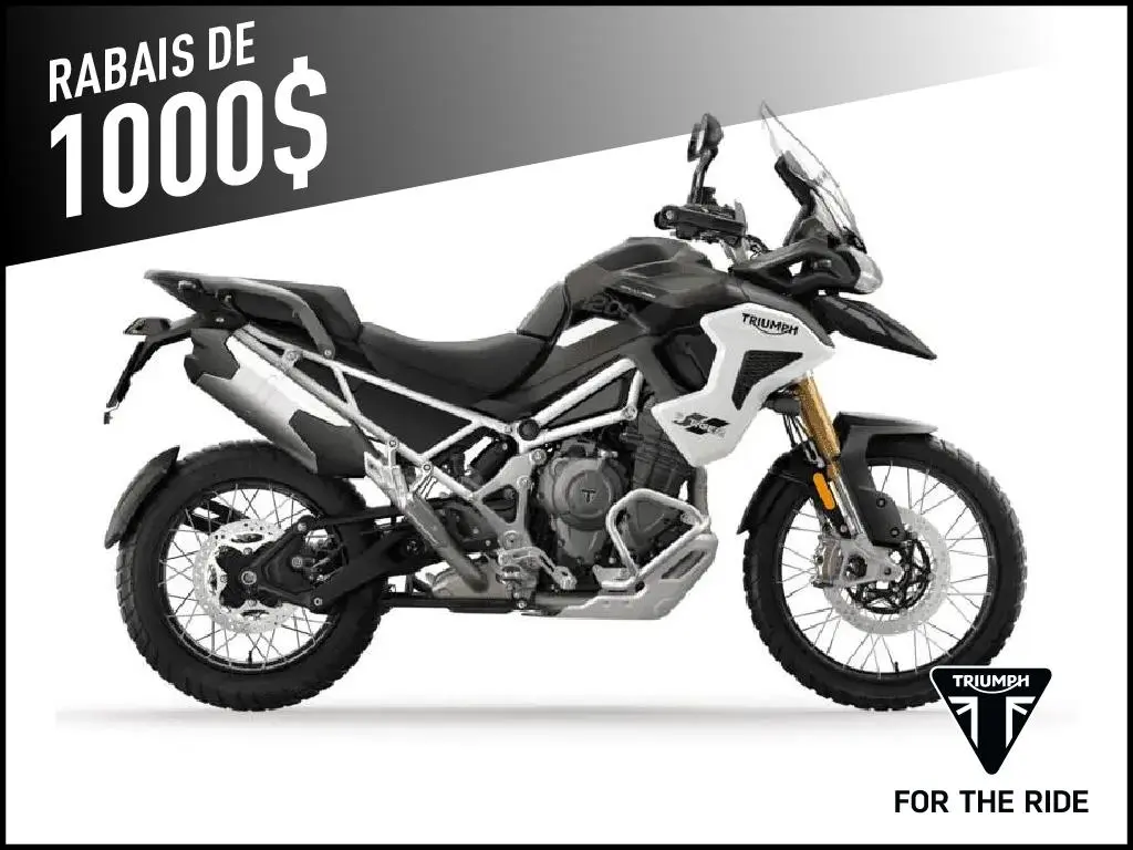 Triumph 1200 RALLY PRO  2025
