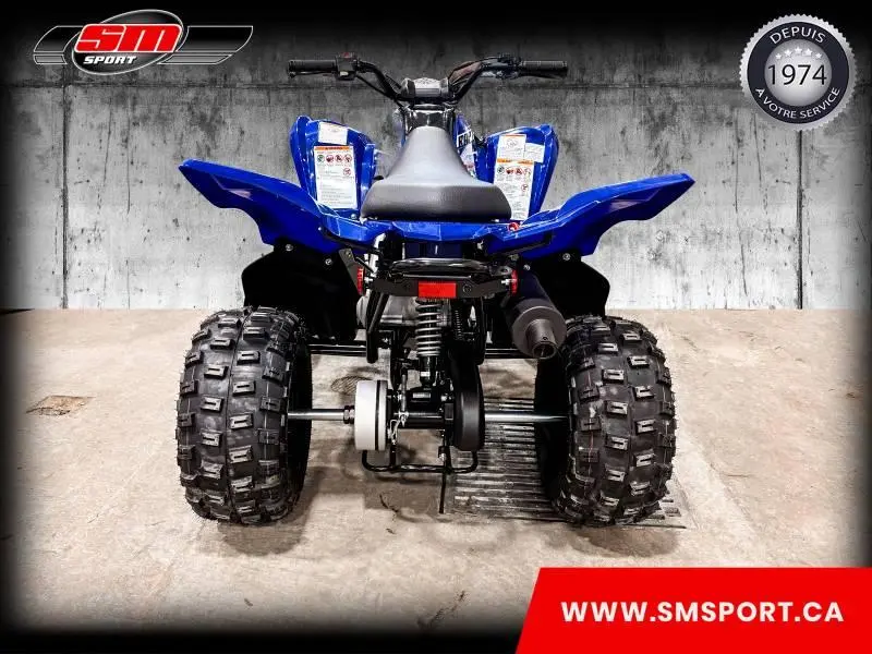 Yamaha Raptor 110 2026