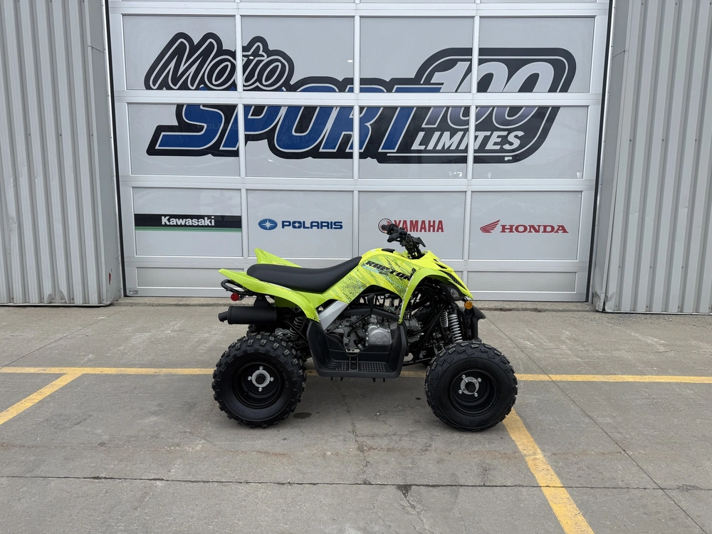 Yamaha Raptor 110 2026 alt