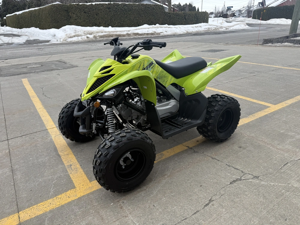 Yamaha Raptor 110 2026 alt
