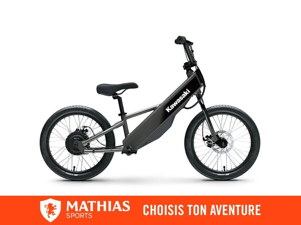 Kawasaki Elektrode 20fs 2025 alt