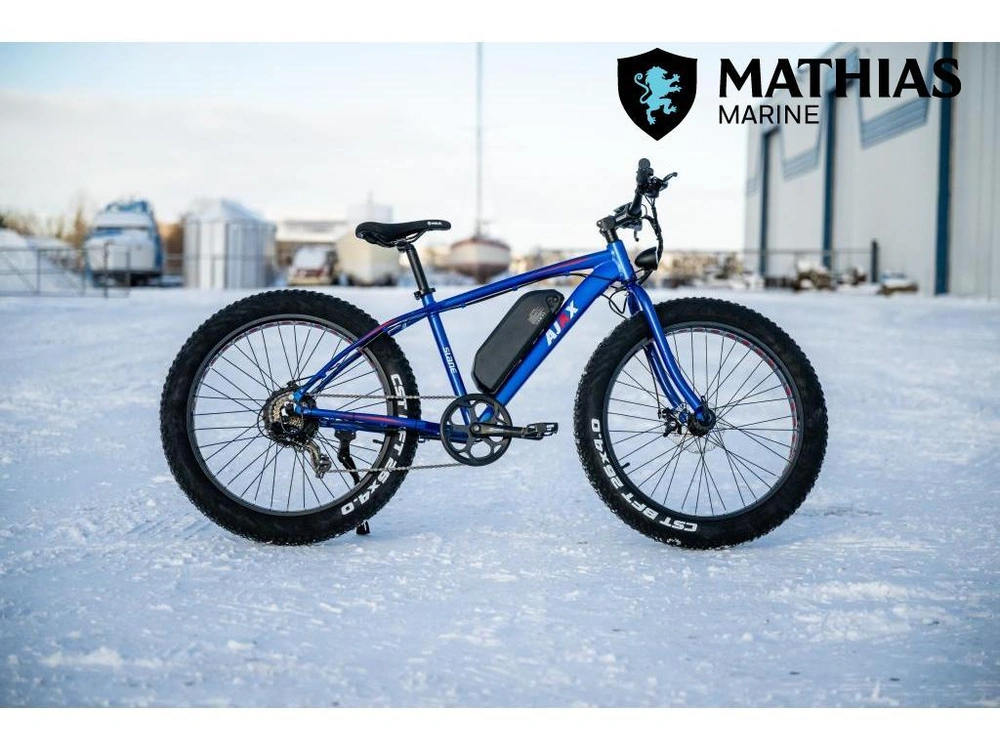 2024 Slane Ajax Fat Tire alt