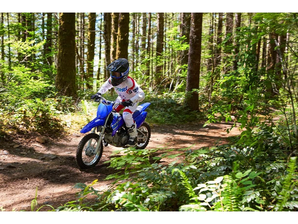 Yamaha Tt-r 110 2026 alt