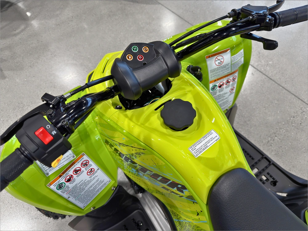 2026 Yamaha Raptor 110 alt