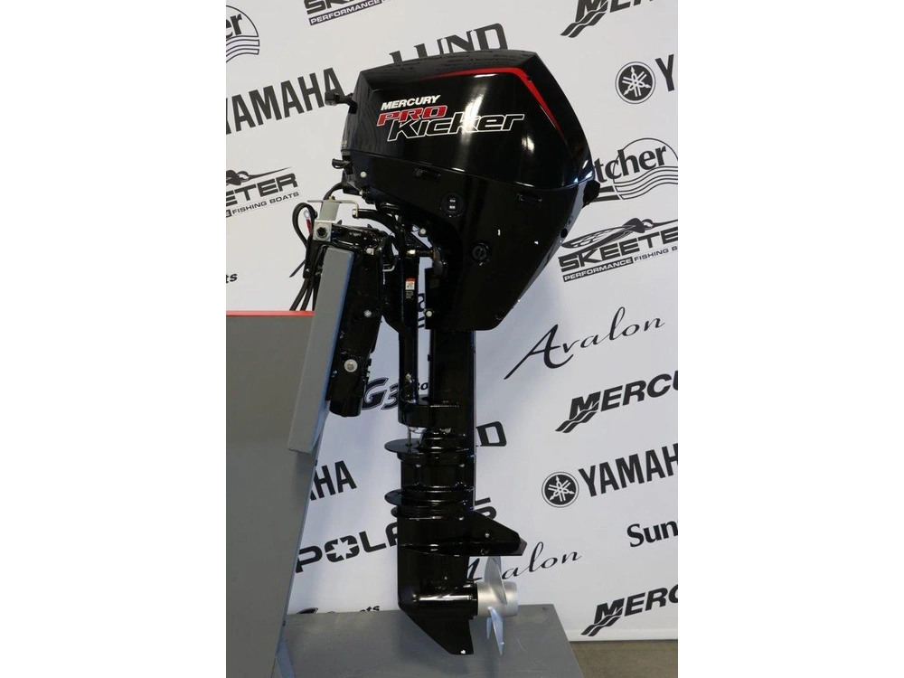 2026 Mercury Mercury 15exlpt Pk Efi Démarreur Élèctrique, X-long (25 Pouces) alt