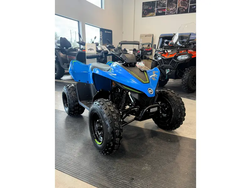 CFMOTO CFORCE 110 Classic 2026