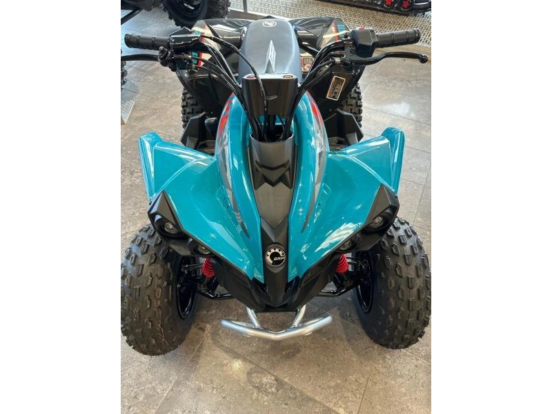 Can-am Renegade 70 Efi 2025 alt