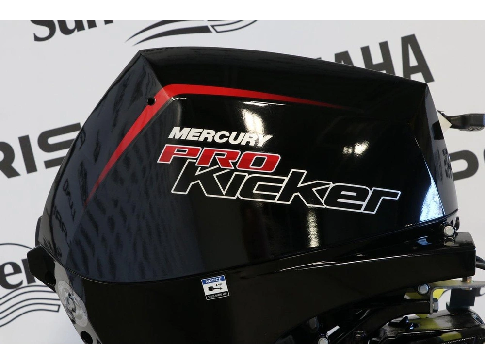 2026 Mercury Mercury 15exlpt Pk Efi Démarreur Élèctrique, X-long (25 Pouces) alt