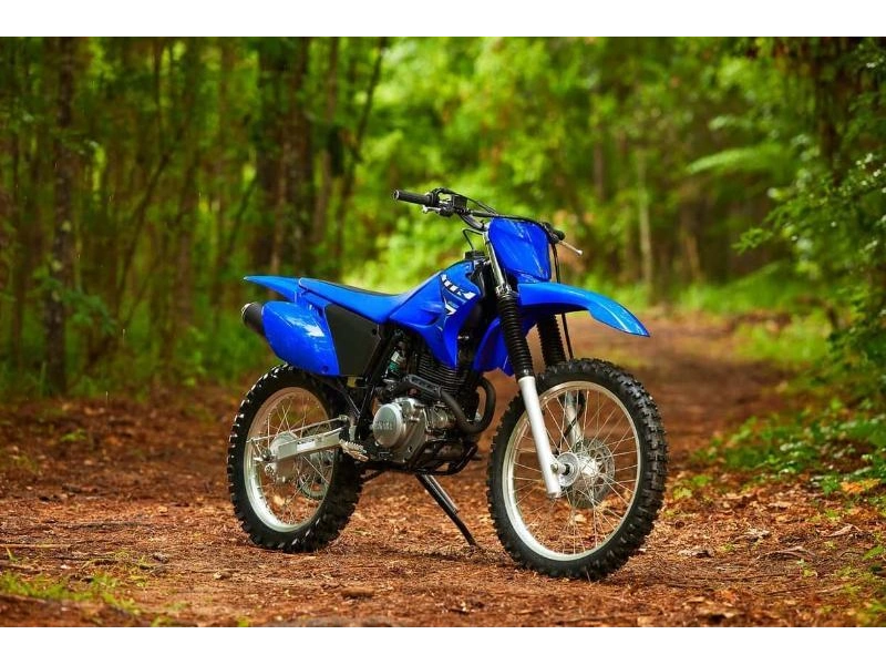 2026 Yamaha Tt-r230 alt