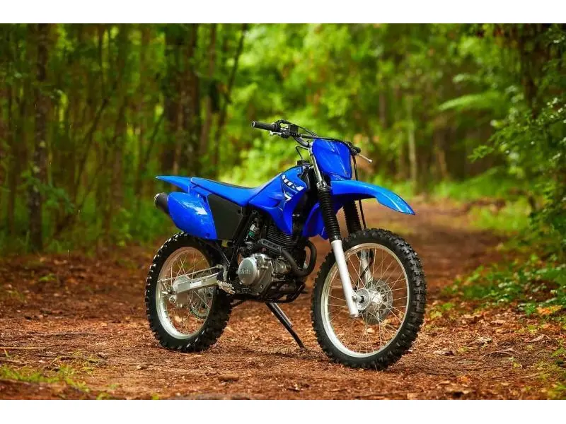 2026 Yamaha TT-R230 thumbnail 6