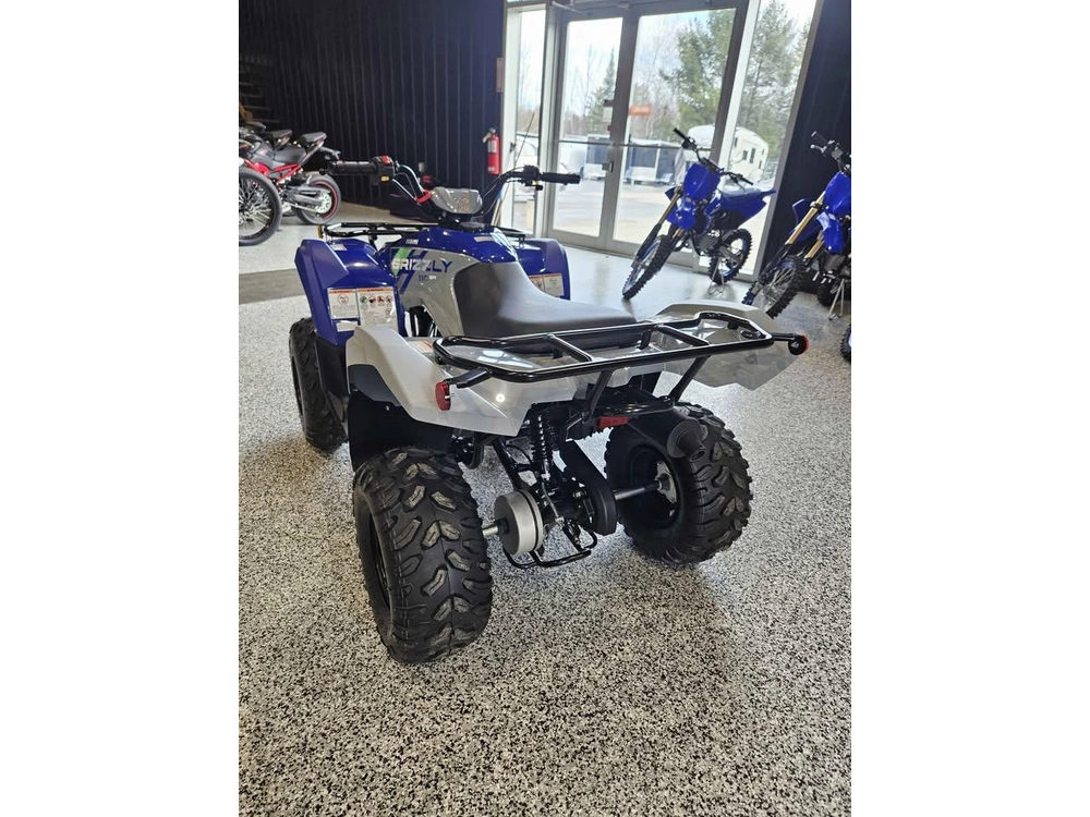 Yamaha Grizzly 110 2026 alt