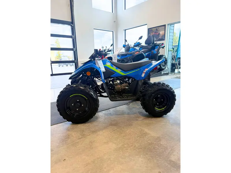 CFMOTO CFORCE 110 Classic 2026