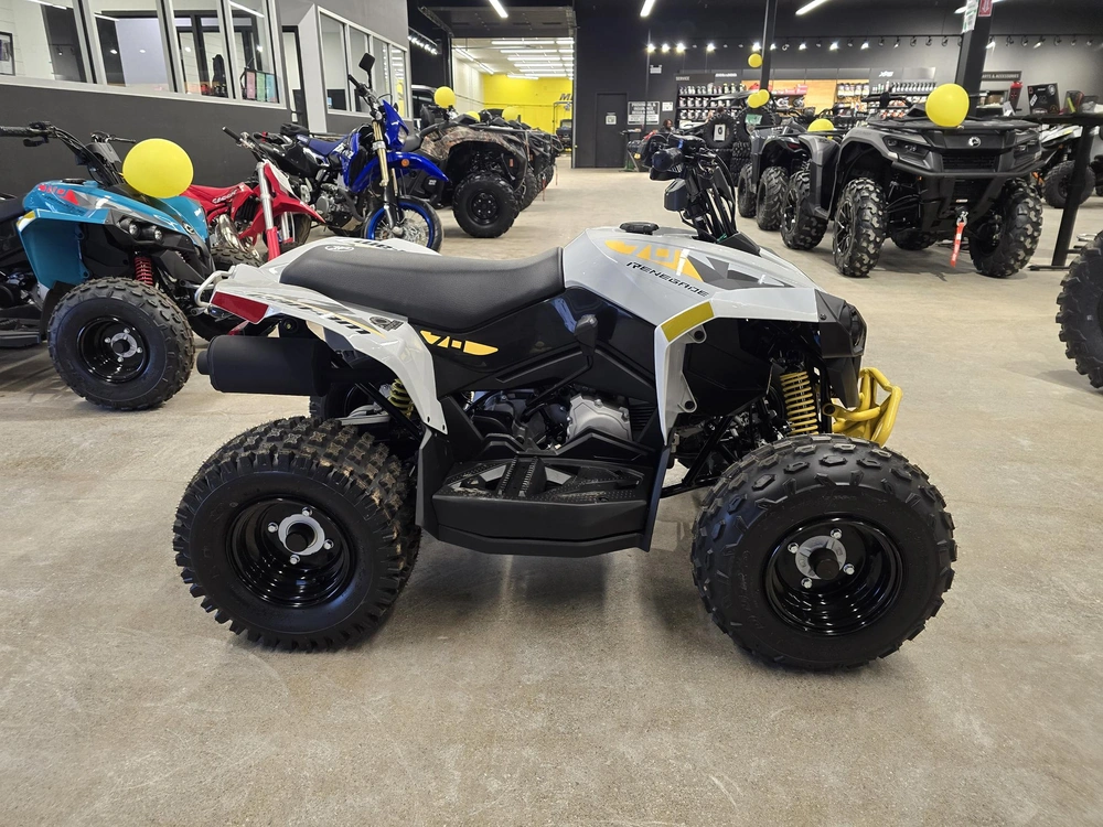 2026 Brp Renegade 70 Efi alt