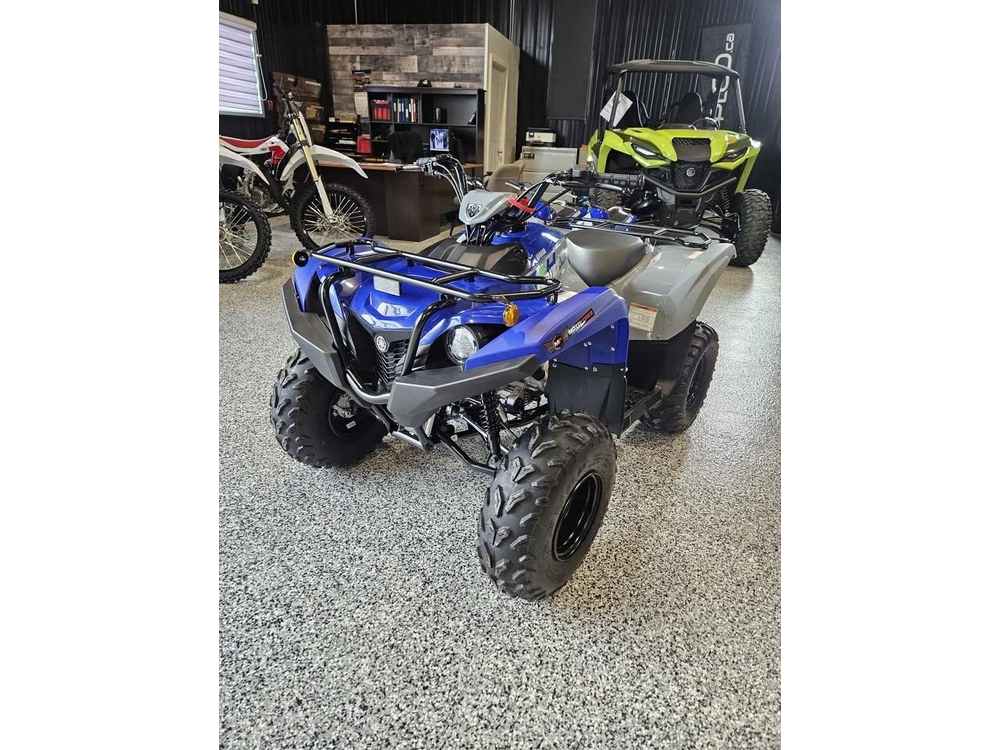 Yamaha Grizzly 110 2026 alt