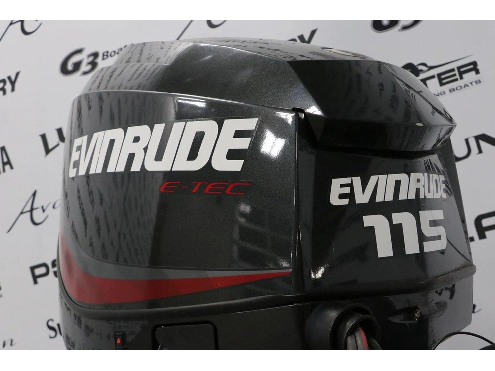 2017 Evinrude Evinrude 115 Hp ( 2 Temps ) Tiller X-long (25 Pouces) alt