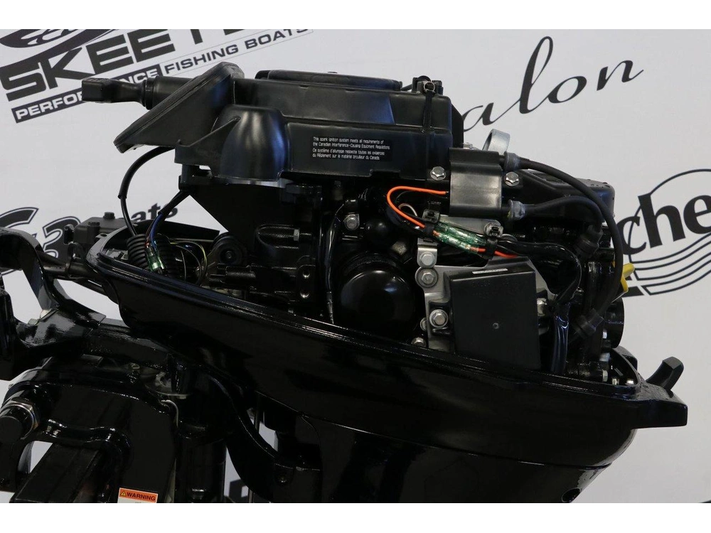 2016 Mercury Mercury 15mlh Long (20 Pouces) alt