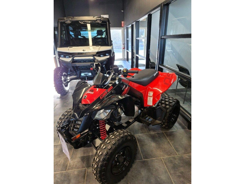 Can-am Ds 250 2026 alt