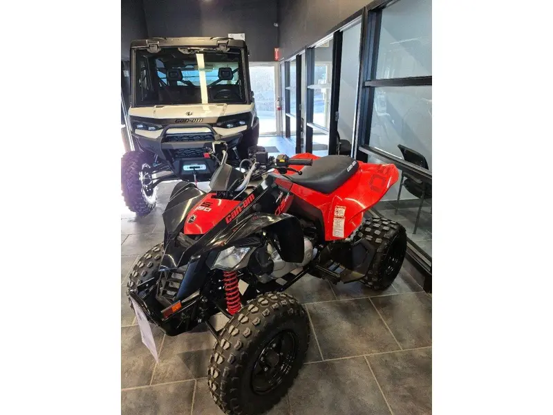 Can-am Ds 250 2026 alt