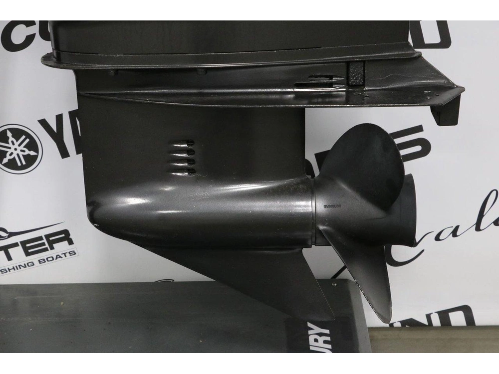 2017 Evinrude Evinrude 115 Hp ( 2 Temps ) Tiller X-long (25 Pouces) alt