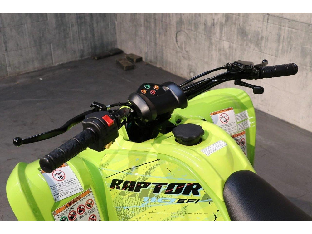 2026 Yamaha Raptor 110 alt