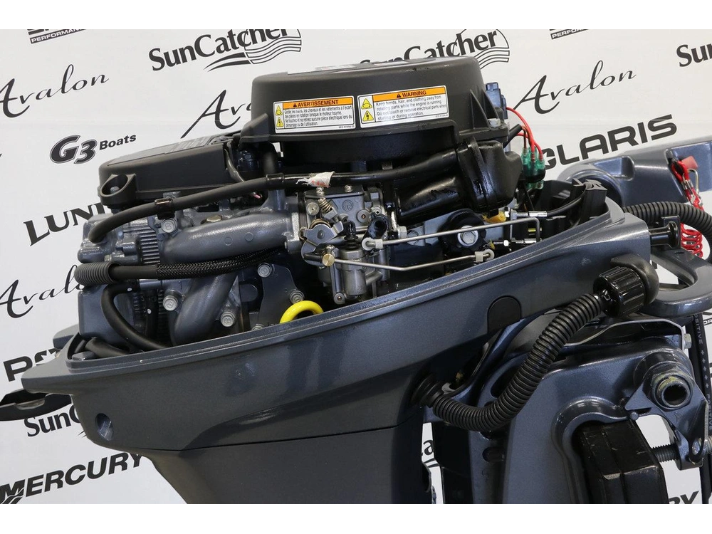 Yamaha F9.9sehb Pied Court (15 Pouces) 2027 alt