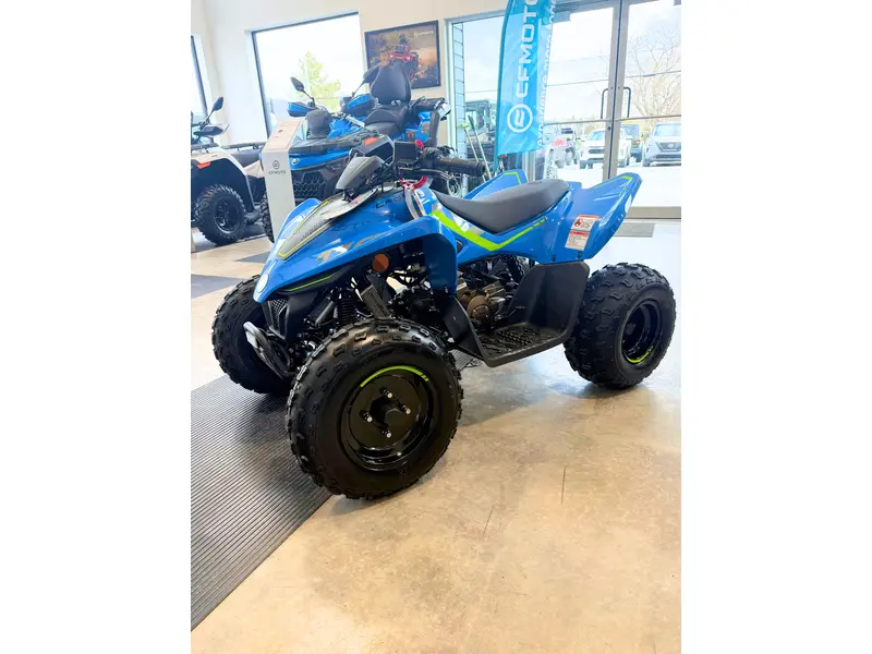 CFMOTO CFORCE 110 Classic 2026